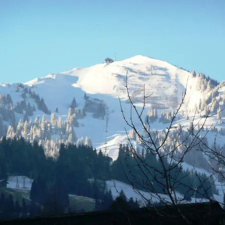 Apartment Garbi Zweisimmen